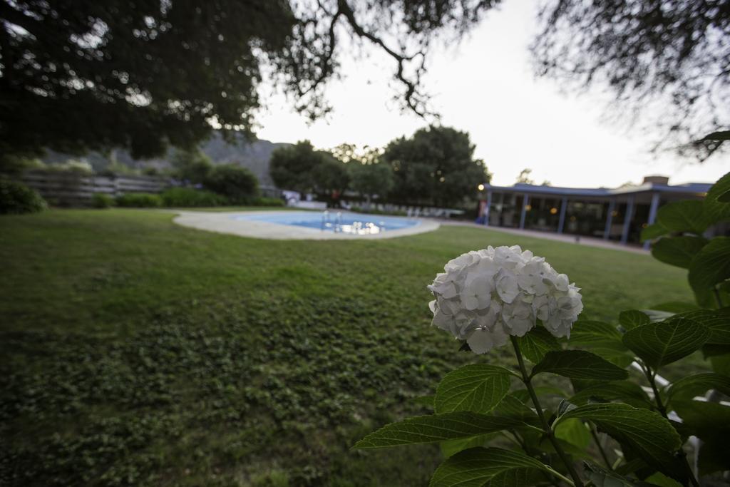 The Blue Sky Lodge Carmel Valley Bagian luar foto