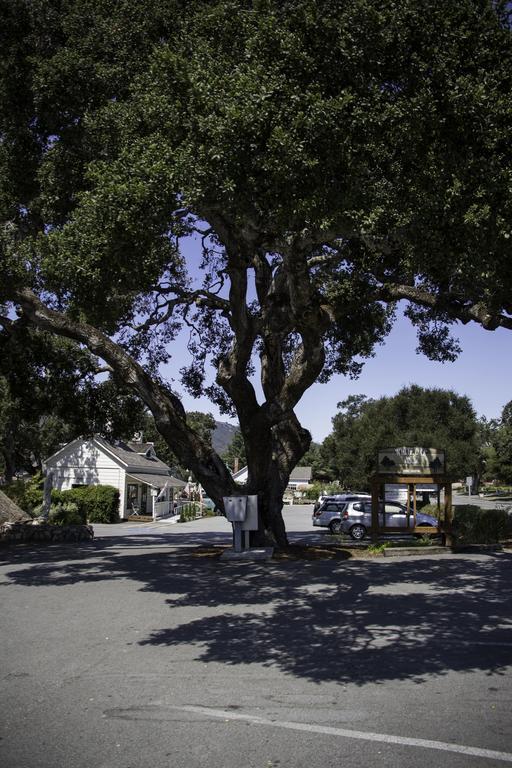 The Blue Sky Lodge Carmel Valley Bagian luar foto