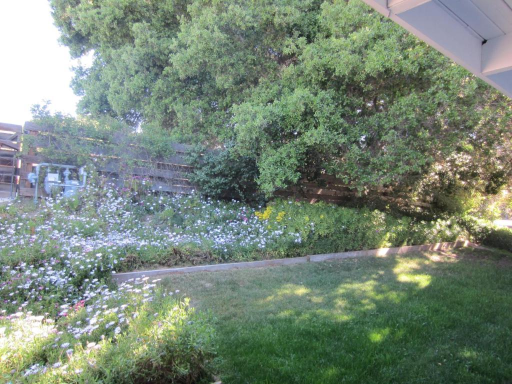 The Blue Sky Lodge Carmel Valley Bagian luar foto