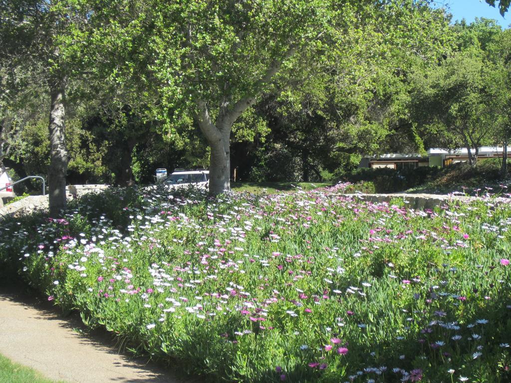 The Blue Sky Lodge Carmel Valley Bagian luar foto